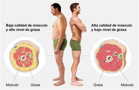 Esto no va de tallas, va de grasa: ¿qué diferencia hay entre tener .